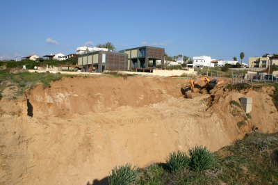 צילום:דרור עזרא